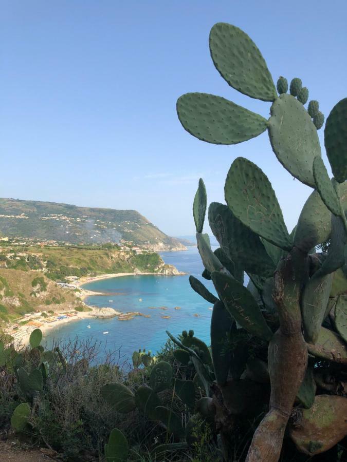 La Marinette Appartement Tropea Buitenkant foto